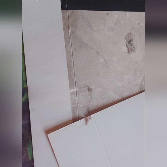 Vintage Earnhardt Advertisment Posters/Tribute Racing Magazine - Picture 13 of 13